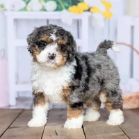 processed/1b58dba6-b85c-4cfb-aaf2-cd0da5340b7a/facility/f76818d2-8b0d-4cd7-aa37-bab861ca7dab