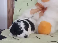 processed/1b58dba6-b85c-4cfb-aaf2-cd0da5340b7a/listing/4014dd23-6aa6-4a39-b5b0-2dc5e6536b1c/2fd11dca-88f5-4966-a1cb-0e2a6981f353