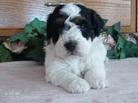 processed/1b58dba6-b85c-4cfb-aaf2-cd0da5340b7a/listing/4014dd23-6aa6-4a39-b5b0-2dc5e6536b1c/3832147c-a973-4c25-8a62-cb8e5875edfe