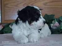 processed/1b58dba6-b85c-4cfb-aaf2-cd0da5340b7a/listing/4014dd23-6aa6-4a39-b5b0-2dc5e6536b1c/5a233f9d-8b8b-4e52-bccb-f6c888bbe2cb