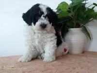 processed/1b58dba6-b85c-4cfb-aaf2-cd0da5340b7a/listing/4014dd23-6aa6-4a39-b5b0-2dc5e6536b1c/ada5b866-7ffd-47f1-bb53-9d1470cd08d2