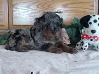 processed/1b58dba6-b85c-4cfb-aaf2-cd0da5340b7a/listing/626fd52a-fa98-4f4a-a767-207eeba3d52c/1c4c56cd-6ae6-4471-a9bb-a7684187eed9