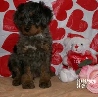 processed/1b58dba6-b85c-4cfb-aaf2-cd0da5340b7a/listing/626fd52a-fa98-4f4a-a767-207eeba3d52c/bffa978b-1146-40fa-9a18-ed37cbaab1c0