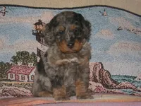 processed/1b58dba6-b85c-4cfb-aaf2-cd0da5340b7a/listing/626fd52a-fa98-4f4a-a767-207eeba3d52c/ed657f7b-0776-4edd-9cb8-d9b1abf4cd72