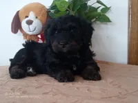 processed/1b58dba6-b85c-4cfb-aaf2-cd0da5340b7a/listing/7d2e7f1b-b761-45e6-b37d-914d97384c88/7d76f55f-1d6e-4565-a693-a2f0c4467f76