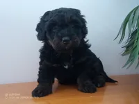 processed/1b58dba6-b85c-4cfb-aaf2-cd0da5340b7a/listing/7d2e7f1b-b761-45e6-b37d-914d97384c88/8235f20a-efb0-4660-8bd5-37b13e604a7c