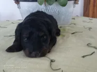 processed/1b58dba6-b85c-4cfb-aaf2-cd0da5340b7a/listing/7d2e7f1b-b761-45e6-b37d-914d97384c88/a668f197-4e08-47a1-a361-320c4940b6ab