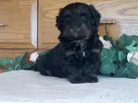 processed/1b58dba6-b85c-4cfb-aaf2-cd0da5340b7a/listing/7d2e7f1b-b761-45e6-b37d-914d97384c88/a7cf292e-9a6d-4665-a75f-c967e7b1f9c0