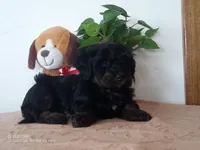 processed/1b58dba6-b85c-4cfb-aaf2-cd0da5340b7a/listing/7d2e7f1b-b761-45e6-b37d-914d97384c88/c3a74568-1b00-4442-b43d-e19da8bd7f36