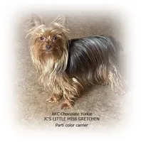 processed/1b6b42f5-398f-4af9-97de-bf497c49ee0b/listing/e408b66b-2be9-4dc6-9861-a22f2d2de60e/8d3a294a-52c0-410d-8126-dd5e8d3e657c