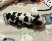 processed/1b6b42f5-398f-4af9-97de-bf497c49ee0b/listing/e408b66b-2be9-4dc6-9861-a22f2d2de60e/985d6c09-6944-49f3-a7e3-c4c916fae7ee