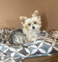 processed/1b6b42f5-398f-4af9-97de-bf497c49ee0b/listing/e408b66b-2be9-4dc6-9861-a22f2d2de60e/9f34c187-50f2-4eb5-9142-308b6a06e9e1