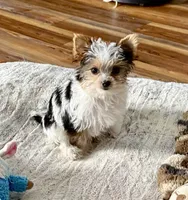 processed/1b6b42f5-398f-4af9-97de-bf497c49ee0b/listing/e408b66b-2be9-4dc6-9861-a22f2d2de60e/c53341c2-d322-4ee4-827d-e8105ca8c8a7