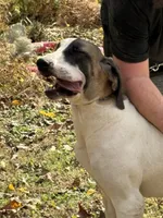 processed/1b8c2123-30b4-4dfa-a2f4-0b8f6e7f2ba3/listing/77230148-31b8-406a-a1e1-2e4292a55eff/2a8fd067-df1b-4133-b21f-16b4a9043d90