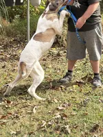 processed/1b8c2123-30b4-4dfa-a2f4-0b8f6e7f2ba3/listing/77230148-31b8-406a-a1e1-2e4292a55eff/47a7086f-ae15-498e-947b-25b51988d934