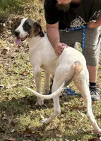 processed/1b8c2123-30b4-4dfa-a2f4-0b8f6e7f2ba3/listing/77230148-31b8-406a-a1e1-2e4292a55eff/549d86b1-cc72-41aa-85ec-0c8763ba7b38