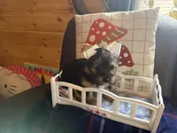 processed/1b90afaa-4add-45b1-a24b-9ff9a5149822/listing/f2423b77-e803-49a0-afcf-16b6278c73a4/0b5dad98-b0b0-442e-9be6-1ba2ea53ad50