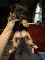 processed/1b90afaa-4add-45b1-a24b-9ff9a5149822/listing/f2423b77-e803-49a0-afcf-16b6278c73a4/10a0840e-0c2d-492e-a9a5-5ae89bfe4d13