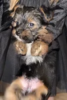 processed/1b90afaa-4add-45b1-a24b-9ff9a5149822/listing/f2423b77-e803-49a0-afcf-16b6278c73a4/1c2da923-aefa-4a2f-8a5d-114ab2b821a3