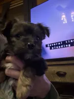 processed/1b90afaa-4add-45b1-a24b-9ff9a5149822/listing/f2423b77-e803-49a0-afcf-16b6278c73a4/9e0afcc4-9c55-45a5-8a08-0409733fe03f