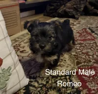 processed/1b90afaa-4add-45b1-a24b-9ff9a5149822/listing/f2423b77-e803-49a0-afcf-16b6278c73a4/d5ae766e-c427-46e1-9a42-eeb9f0b0c785