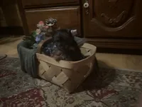 processed/1b90afaa-4add-45b1-a24b-9ff9a5149822/listing/f2423b77-e803-49a0-afcf-16b6278c73a4/de599545-2583-4bf6-8650-be564dc0bf56