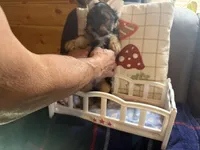 processed/1b90afaa-4add-45b1-a24b-9ff9a5149822/listing/f2423b77-e803-49a0-afcf-16b6278c73a4/e7755e5d-e408-442d-82e2-c80ae4fa31b6