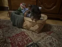 processed/1b90afaa-4add-45b1-a24b-9ff9a5149822/listing/f2423b77-e803-49a0-afcf-16b6278c73a4/f1e769b6-c738-4eee-b4a7-7d040ed47f5a