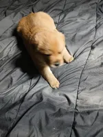 processed/1b9321e9-e0c1-42e9-8f84-7710a105904b/listing/57e63ed4-03d1-462f-8677-31d88749624e/09be4723-daf5-454a-b16f-681b672eac37