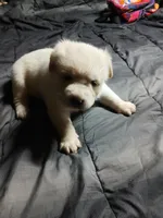 processed/1b9321e9-e0c1-42e9-8f84-7710a105904b/listing/57e63ed4-03d1-462f-8677-31d88749624e/505e735d-af05-4f27-9cf1-fd20031ebff4