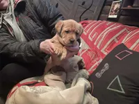 processed/1b9321e9-e0c1-42e9-8f84-7710a105904b/listing/57e63ed4-03d1-462f-8677-31d88749624e/cca9a918-8d7b-4804-b0b6-d2940e1b22b9