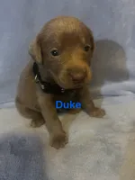 processed/1b9b4321-1208-4a15-8c86-1677c05e2919/listing/a7afc5e9-0c0b-4fa4-a339-d8936ba7a7ed/5e25ed02-58de-4c02-9176-2bb365f32858