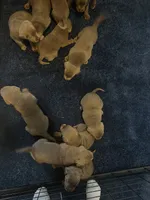 processed/1b9b4321-1208-4a15-8c86-1677c05e2919/listing/a7afc5e9-0c0b-4fa4-a339-d8936ba7a7ed/7e63b3e2-3aba-4dc2-80e5-22920c9bade8