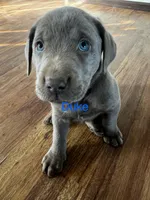 processed/1b9b4321-1208-4a15-8c86-1677c05e2919/listing/a7afc5e9-0c0b-4fa4-a339-d8936ba7a7ed/86538b74-c77c-4c33-8471-0910b89458b0