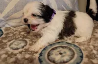 processed/1ba8f9c0-a376-4ee8-b072-15798f2a7862/listing/244847b8-957a-411c-a0e1-f256768ea19c/89a268be-32fa-4661-a02b-98e052f7679b