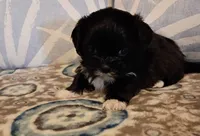 processed/1ba8f9c0-a376-4ee8-b072-15798f2a7862/listing/7913a919-3951-49e8-85fc-f9fc58aef36f/5680a58a-d27d-4e3d-9bea-4ba8883733fb