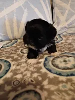 processed/1ba8f9c0-a376-4ee8-b072-15798f2a7862/listing/7913a919-3951-49e8-85fc-f9fc58aef36f/cfef9e4f-632d-47d1-876e-16a02a82b97e