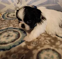 processed/1ba8f9c0-a376-4ee8-b072-15798f2a7862/listing/a5328264-be12-4c09-ae3c-e0b9d9eafef7/37fc74cb-10fd-40c0-8aac-9887ac42a018