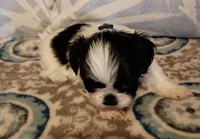 processed/1ba8f9c0-a376-4ee8-b072-15798f2a7862/listing/a5328264-be12-4c09-ae3c-e0b9d9eafef7/4ce431e5-b118-4ede-bf34-4ade1708fae3