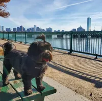 processed/1bb6b1cf-4b0e-4ec7-822f-e421cf343502/facility/0f810a14-0d8c-4ab2-b5a0-b7aee30fad80