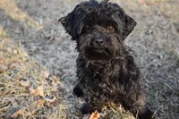 processed/1bb6b1cf-4b0e-4ec7-822f-e421cf343502/facility/21e9f057-4bd8-4359-84a6-1c5e9461b1b9