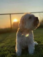 processed/1bb6b1cf-4b0e-4ec7-822f-e421cf343502/facility/3cf010cf-3b4d-41bd-83a9-f3ba8b3bd3e8