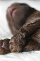 processed/1bb6b1cf-4b0e-4ec7-822f-e421cf343502/facility/56278d3c-a63b-4e91-a7e5-fac519952a09