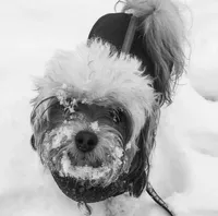 processed/1bb6b1cf-4b0e-4ec7-822f-e421cf343502/facility/8677c7bb-54ae-4f2f-92f9-1114284c72e2