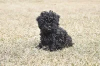 processed/1bb6b1cf-4b0e-4ec7-822f-e421cf343502/facility/b1195329-d4ab-488f-accf-81cce44aaf7f