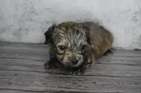 processed/1bb6b1cf-4b0e-4ec7-822f-e421cf343502/listing/d04e9358-4bbd-4d62-ab7a-aef9988652ae/2e7d39ce-8e96-425a-9161-1316bea44be6