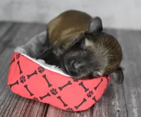 processed/1bb6b1cf-4b0e-4ec7-822f-e421cf343502/listing/d04e9358-4bbd-4d62-ab7a-aef9988652ae/9d06f8de-aa28-4948-8ede-674abff62c3d