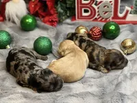 processed/1bb834a7-3e1e-4c58-96ff-e7119307c625/facility/c50d56ea-4be5-409e-a83c-b6247ac1cbb4