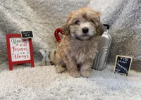 processed/1bb834a7-3e1e-4c58-96ff-e7119307c625/listing/6ce68ce0-5bb4-4505-80c3-ac268600f771/0ae3cfda-36ba-4541-a6bf-58c5ee84dc64