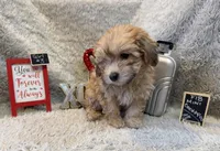 processed/1bb834a7-3e1e-4c58-96ff-e7119307c625/listing/6ce68ce0-5bb4-4505-80c3-ac268600f771/1c4fedfc-1446-461d-9226-c5c39b0067a8